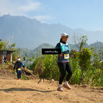 Runner Photo 5282495