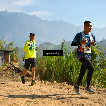 Runner Photo 5282613