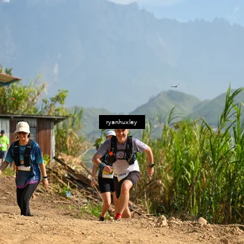Runner Photo 5282649