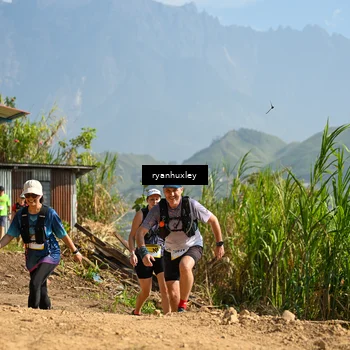 Runner Photo 5282663