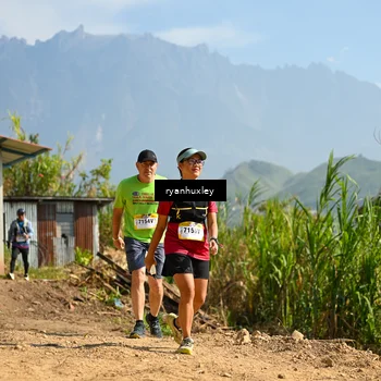 Runner Photo 5282707