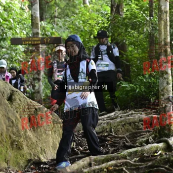 Runner Photo 528279