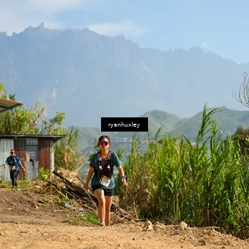 Runner Photo 5282814