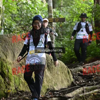 Runner Photo 528284