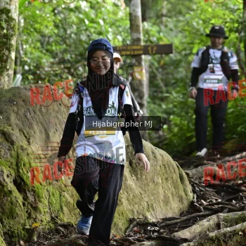 Runner Photo 528285