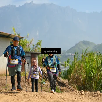 Runner Photo 5282950