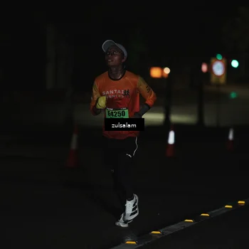 Runner Photo 5282960