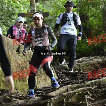 Runner Photo 528300