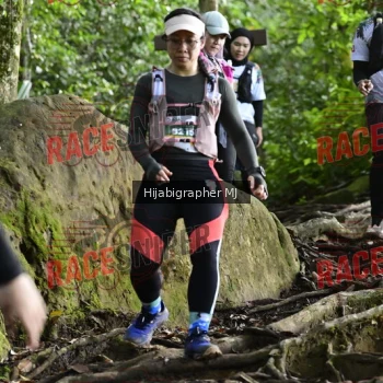 Runner Photo 528303