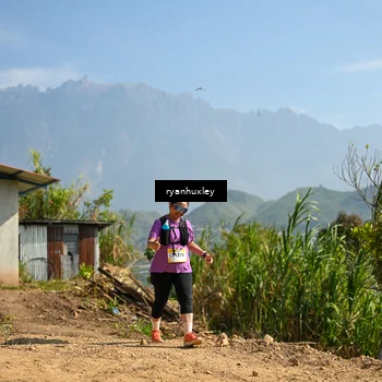 Runner Photo 5283205