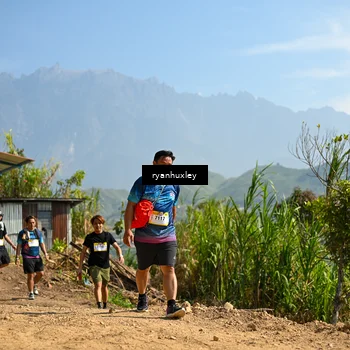 Runner Photo 5283229