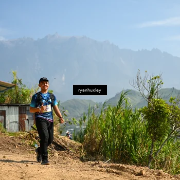 Runner Photo 5283308