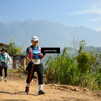 Runner Photo 5283393