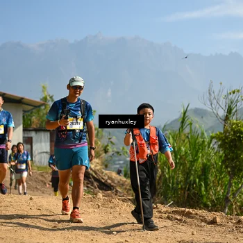 Runner Photo 5283477