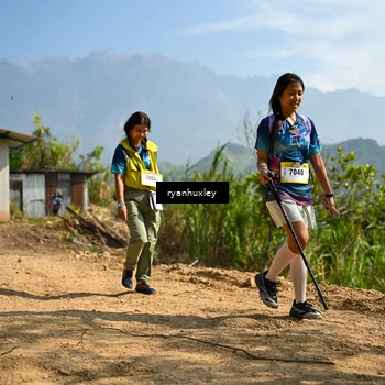 Runner Photo 5283569