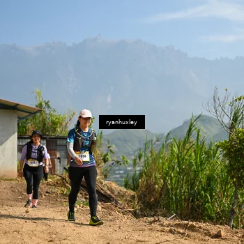 Runner Photo 5283646