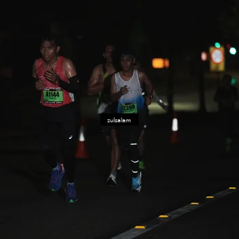 Runner Photo 5283651