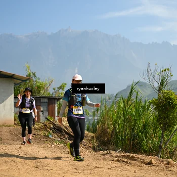 Runner Photo 5283653