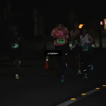 Runner Photo 5283657