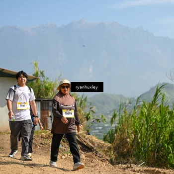 Runner Photo 5283707