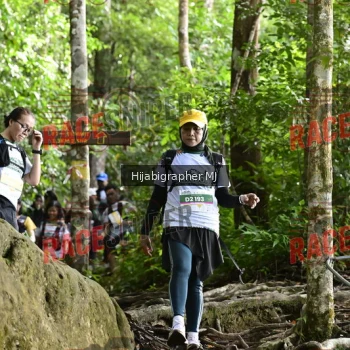 Runner Photo 528371