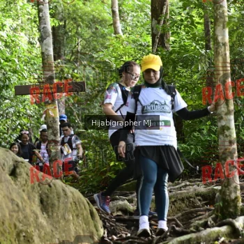 Runner Photo 528372