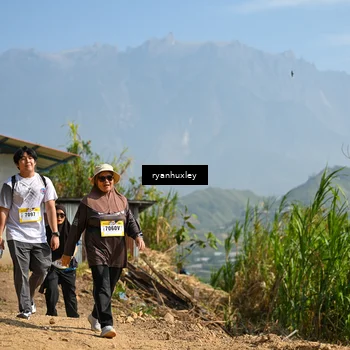 Runner Photo 5283723