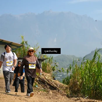 Runner Photo 5283731