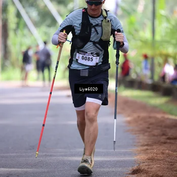 Runner Photo 5283746