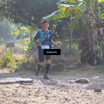 Runner Photo 5283852