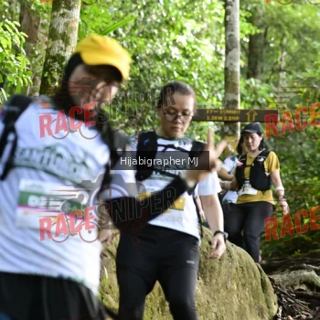 Runner Photo 528392