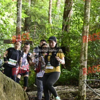 Runner Photo 528400