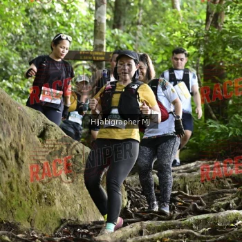 Runner Photo 528412