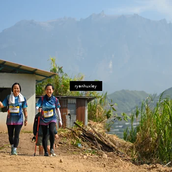 Runner Photo 5284149