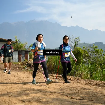 Runner Photo 5284171
