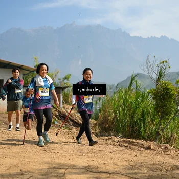 Runner Photo 5284183