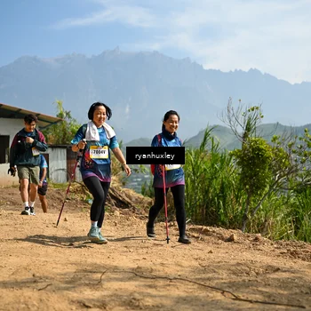 Runner Photo 5284185