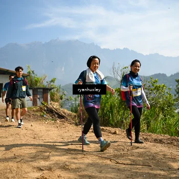 Runner Photo 5284244