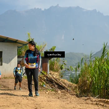 Runner Photo 5284571