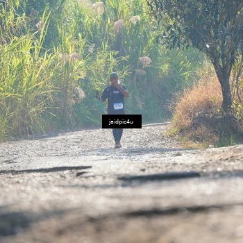 Runner Photo 5284653