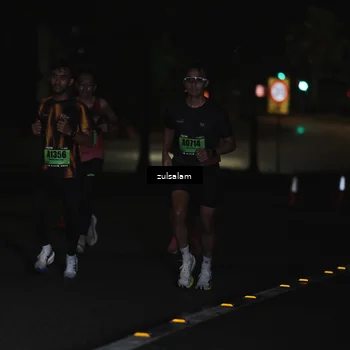 Runner Photo 5284727