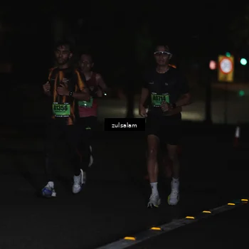 Runner Photo 5284750