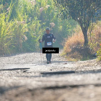 Runner Photo 5284826