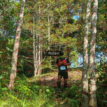 Runner Photo 5285