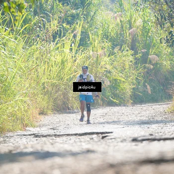 Runner Photo 5285108