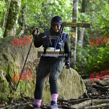 Runner Photo 528531