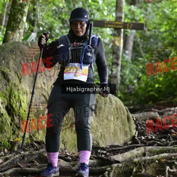 Runner Photo 528532