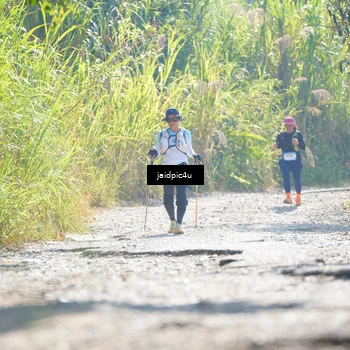 Runner Photo 5285432