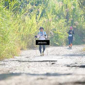 Runner Photo 5285435