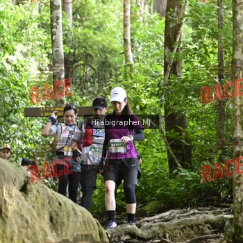 Runner Photo 528570
